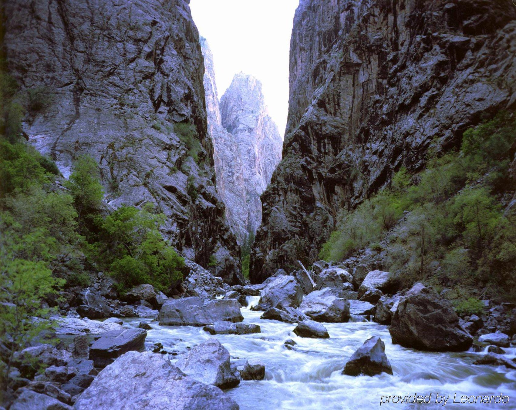 Holiday Inn Express Hotel & Suites Montrose - Black Canyon Area By Ihg Eksteriør billede